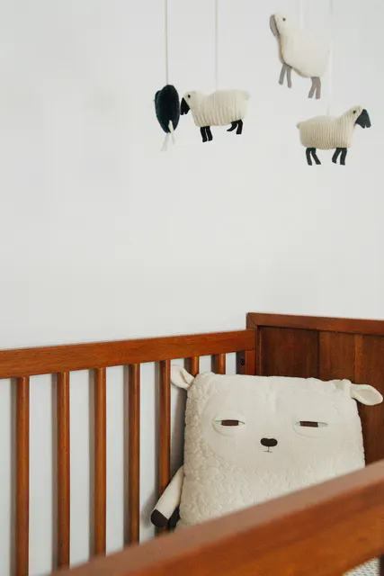 Free: Wooden baby cot